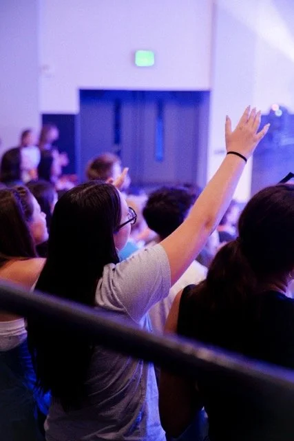 P1386022 Medium.jpeg