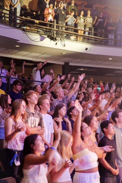 P1386063 Medium.jpeg