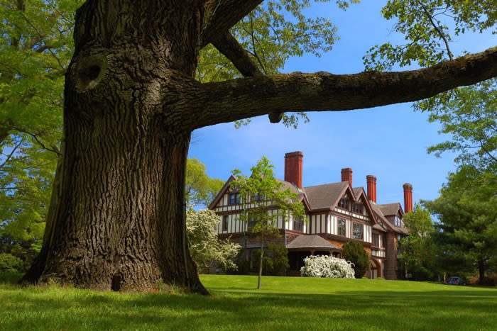 Large oak tree in front of a historic house with Tudor-style architecture and multiple chimneys, surrounded by green grass and trees under a clear blue sky.