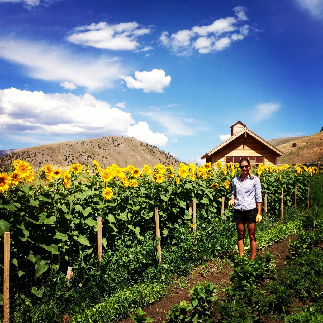 About Us — Jackson Hole Flower Farm