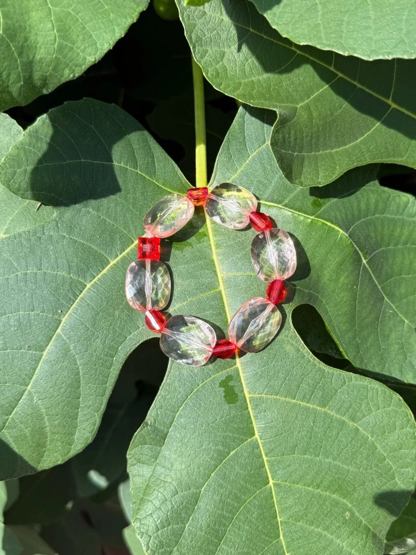 5DD59577-ED0C-4026-85BD-96B4702B58BC.jpg (Copy)