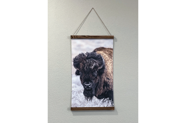 Website---hanging-canvas-buffalo.gif