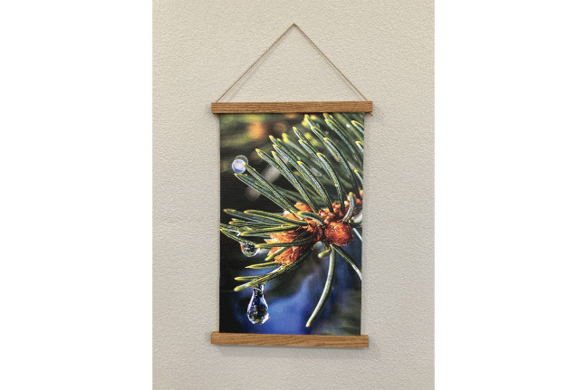 Website---hanging-canvas-pine-cone.gif