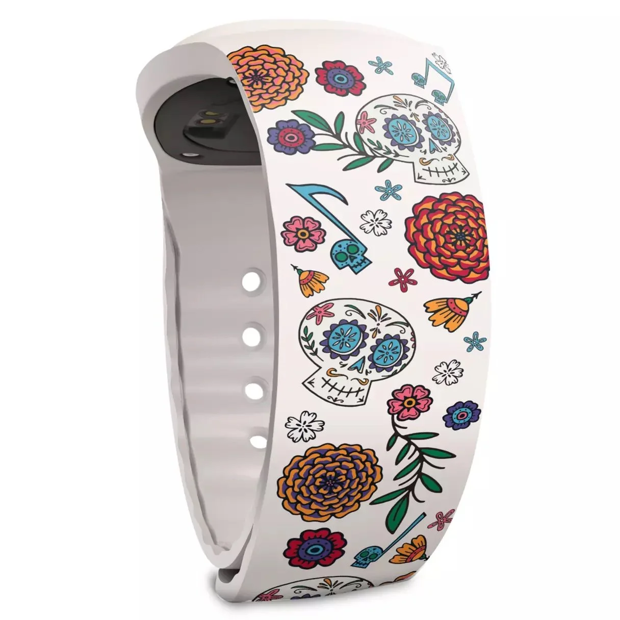 MagicBand+