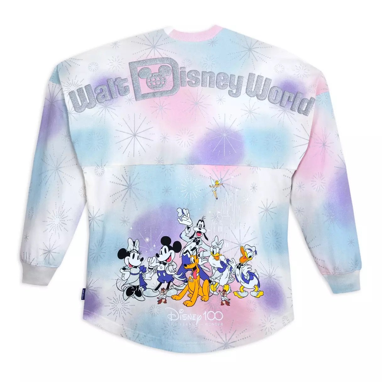 Walt Disney World Spirit Jersey