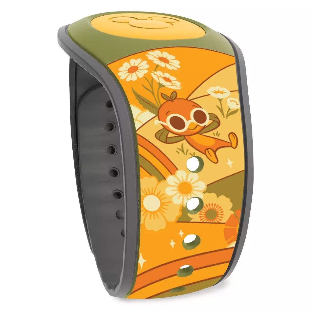 MagicBand 2