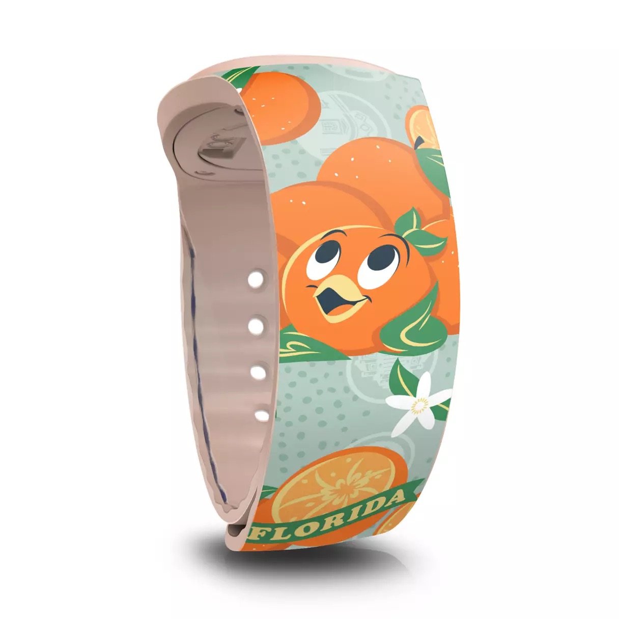 MagicBand+