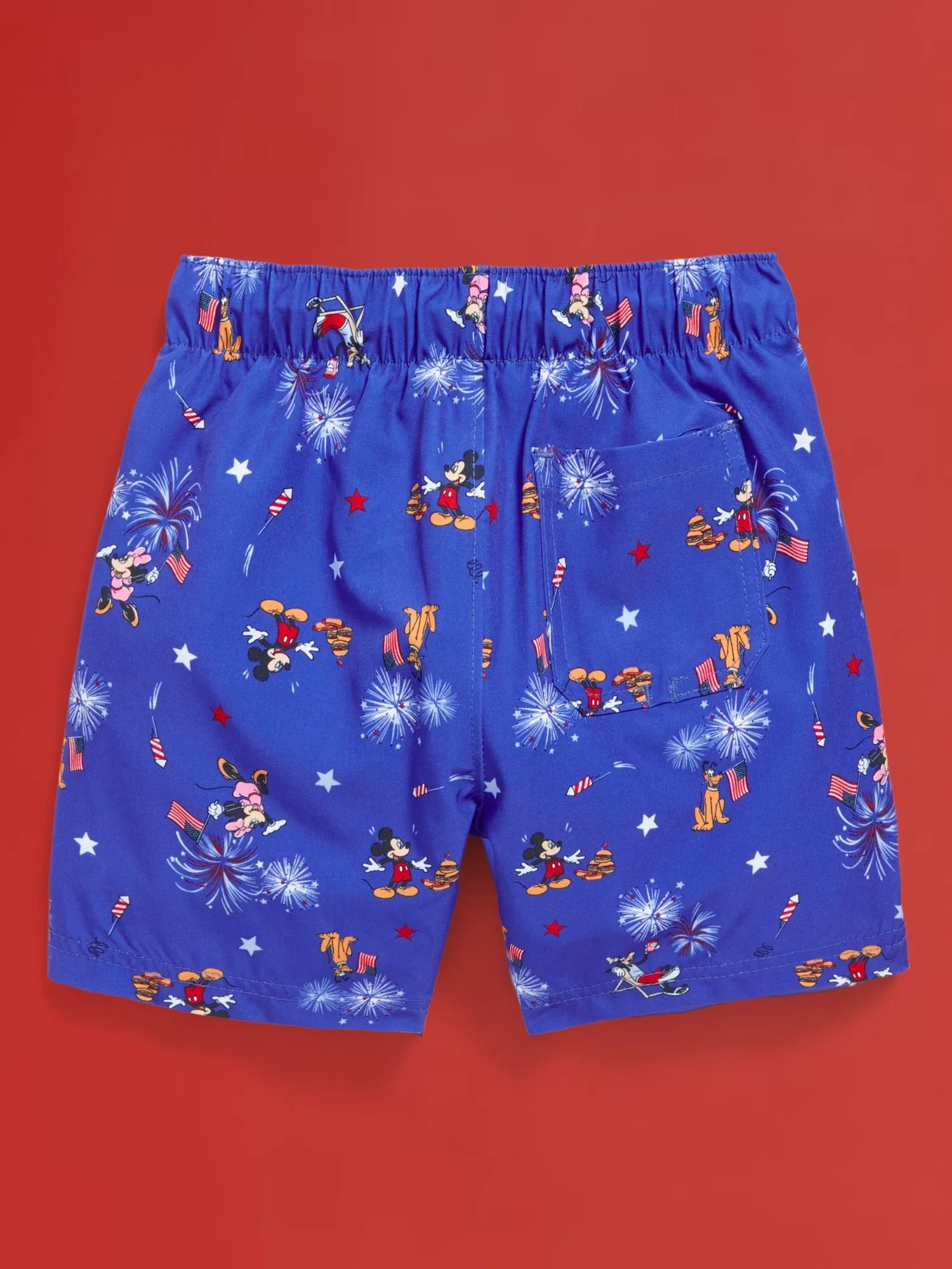 Toddler Boys Swim Trunks