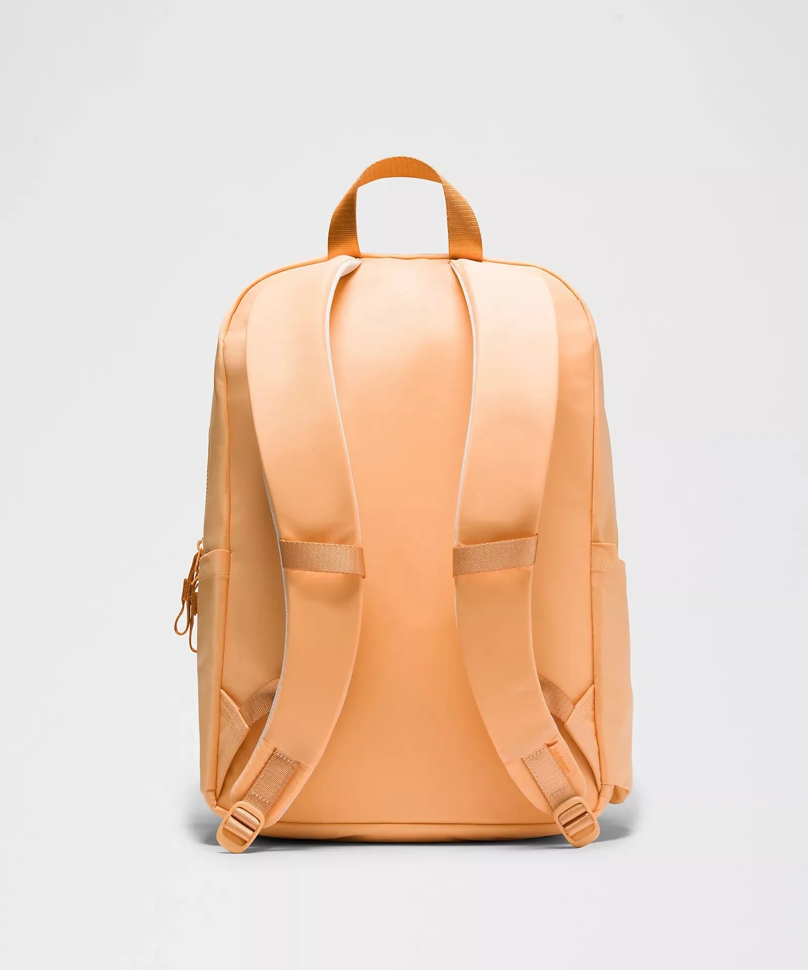Everywhere Backpack 22L
