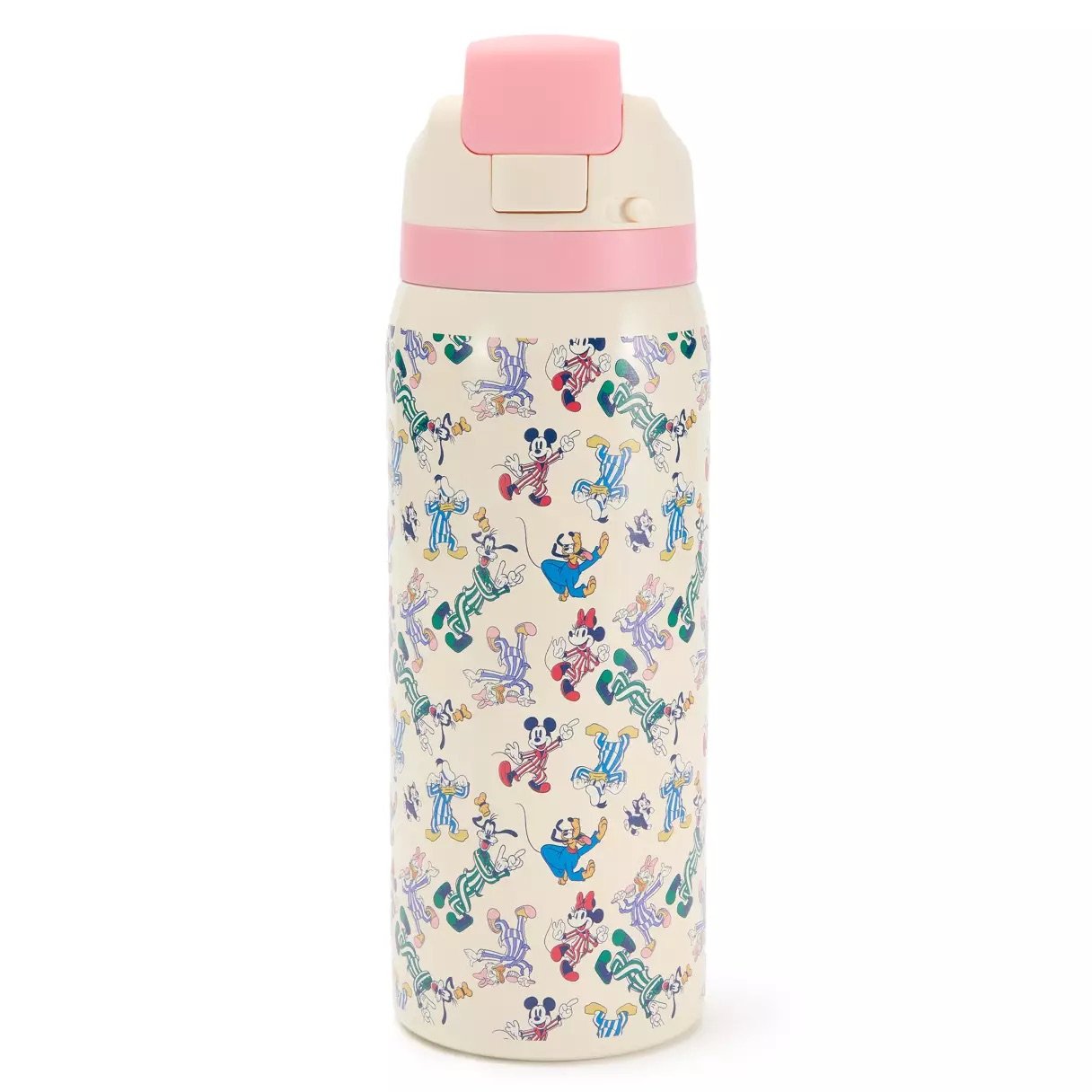 Mickey & Friends Water Bottle