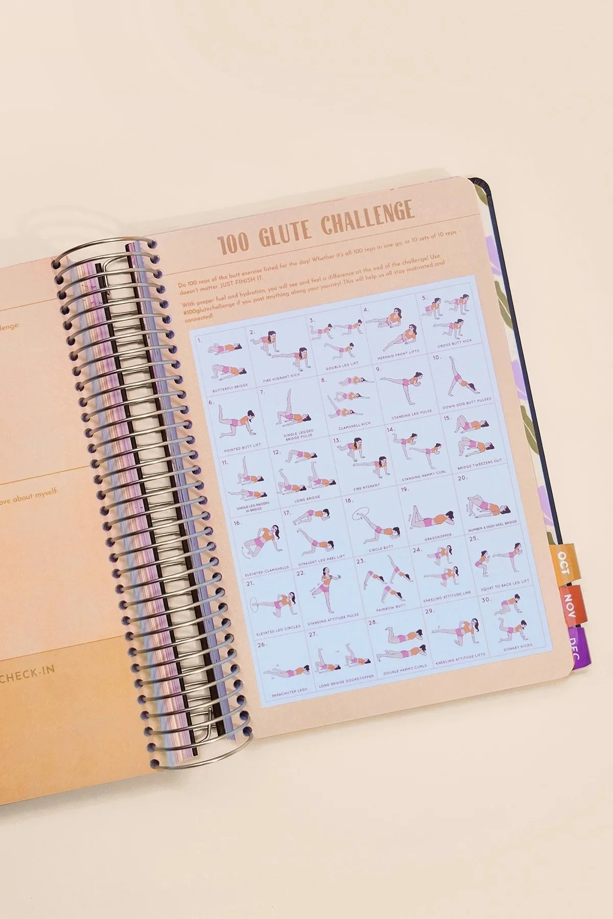 2026 Fit Planner - Black Metallic