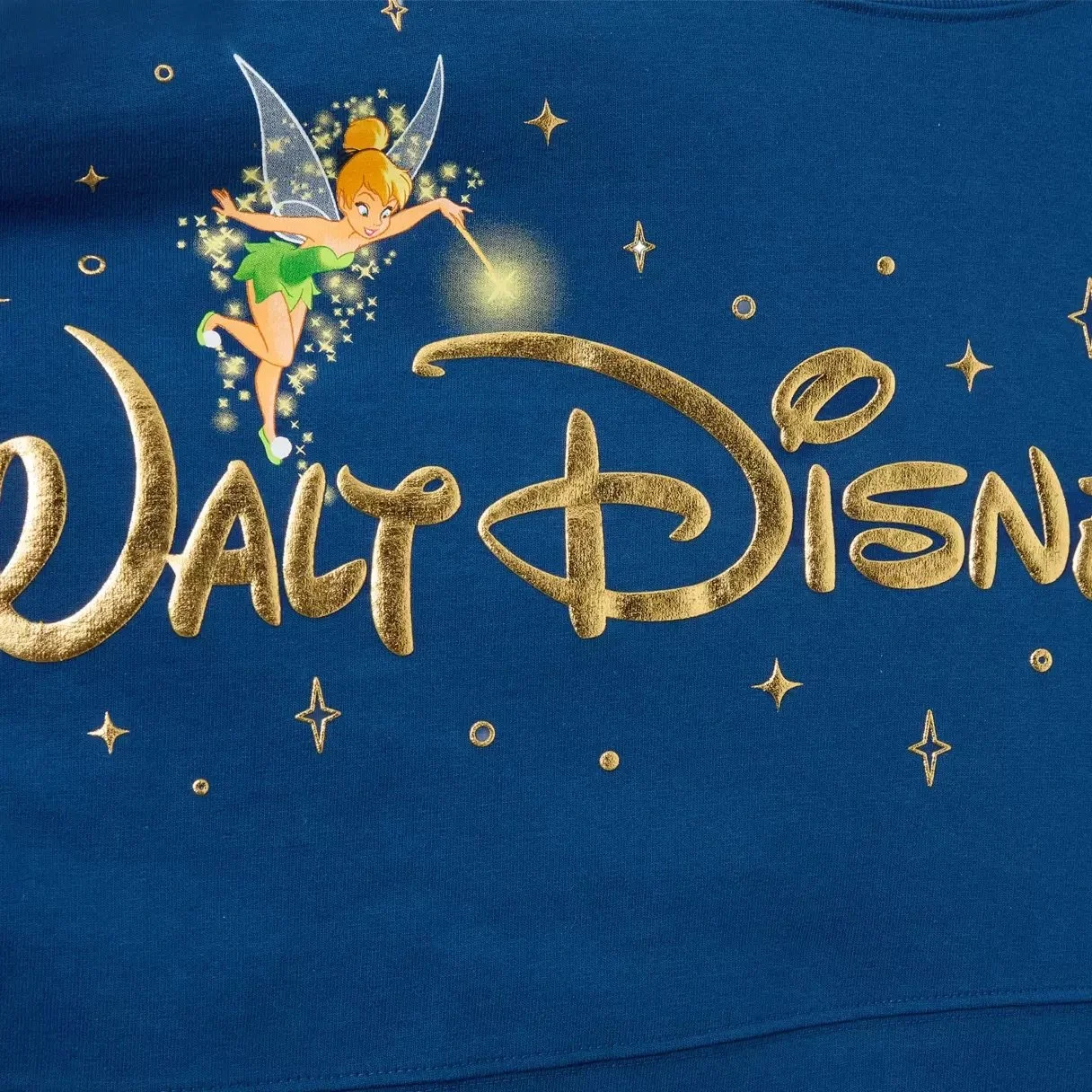 Walt Disney World Storybook Spirit Jersey