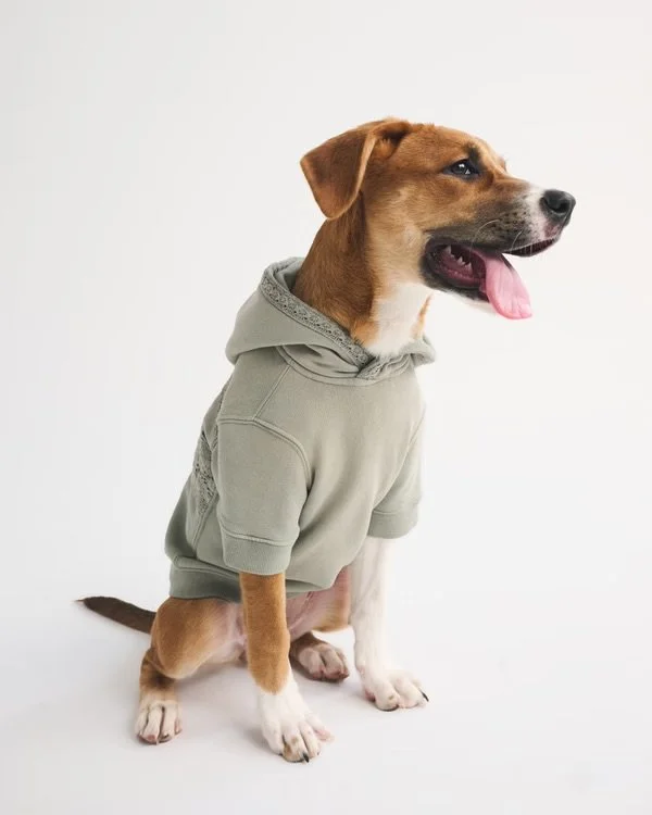 A&amp;F Essential Pet Pupover