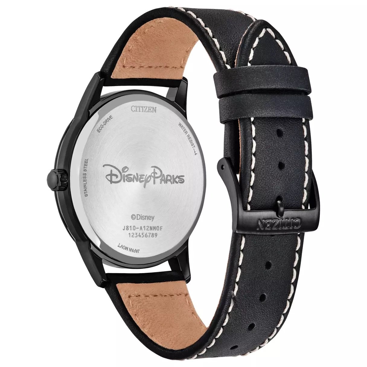 Hitchhiking Ghosts GITD Citizen Watch