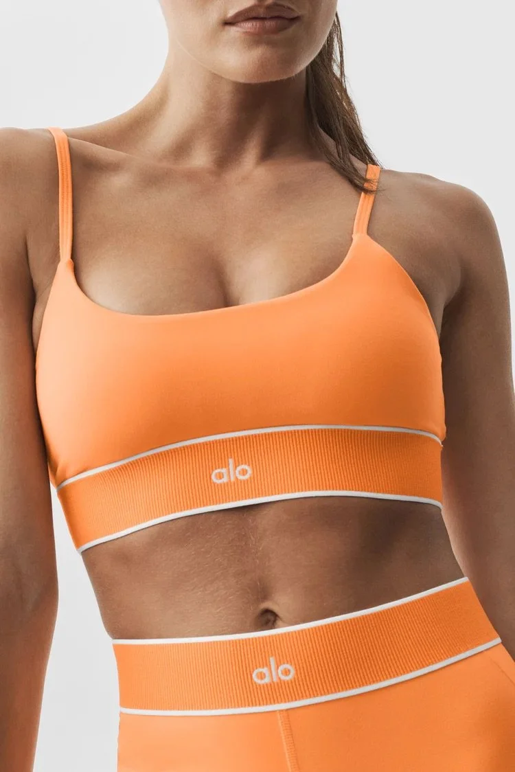 ALO Softsculpt Amp It Up Bra