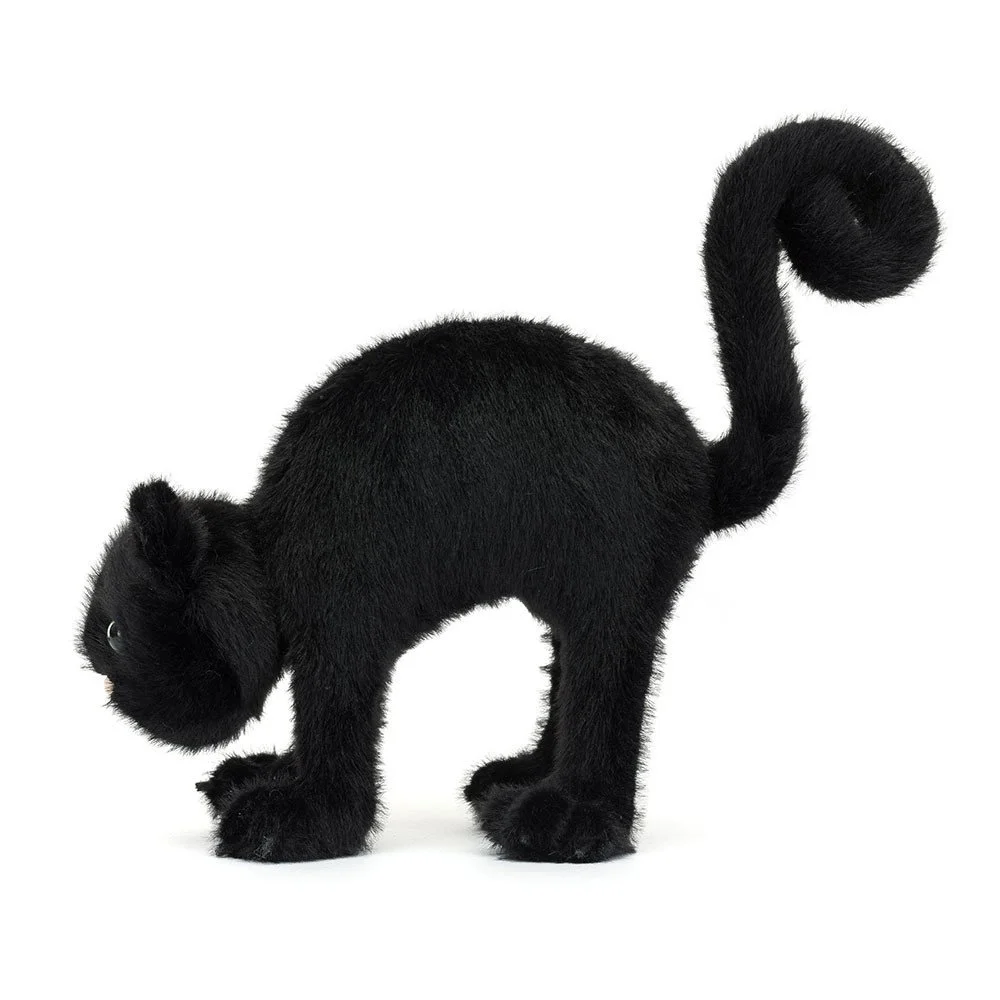 Spookipaws Cat
