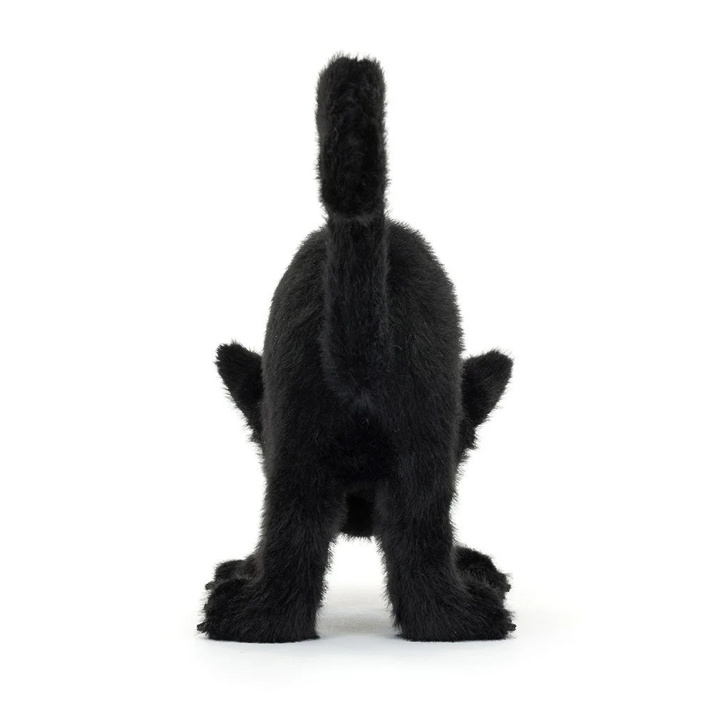 Spookipaws Cat