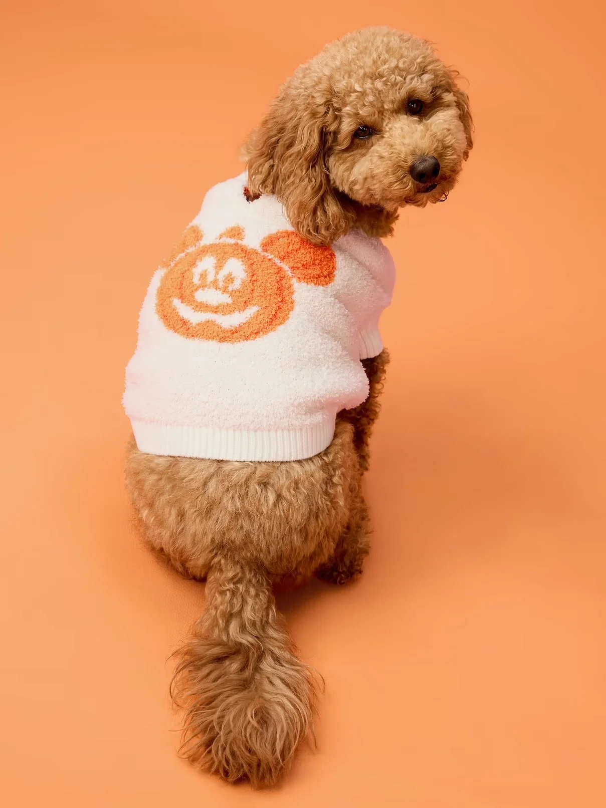 Mickey Mouse Cozy Pet Sweater