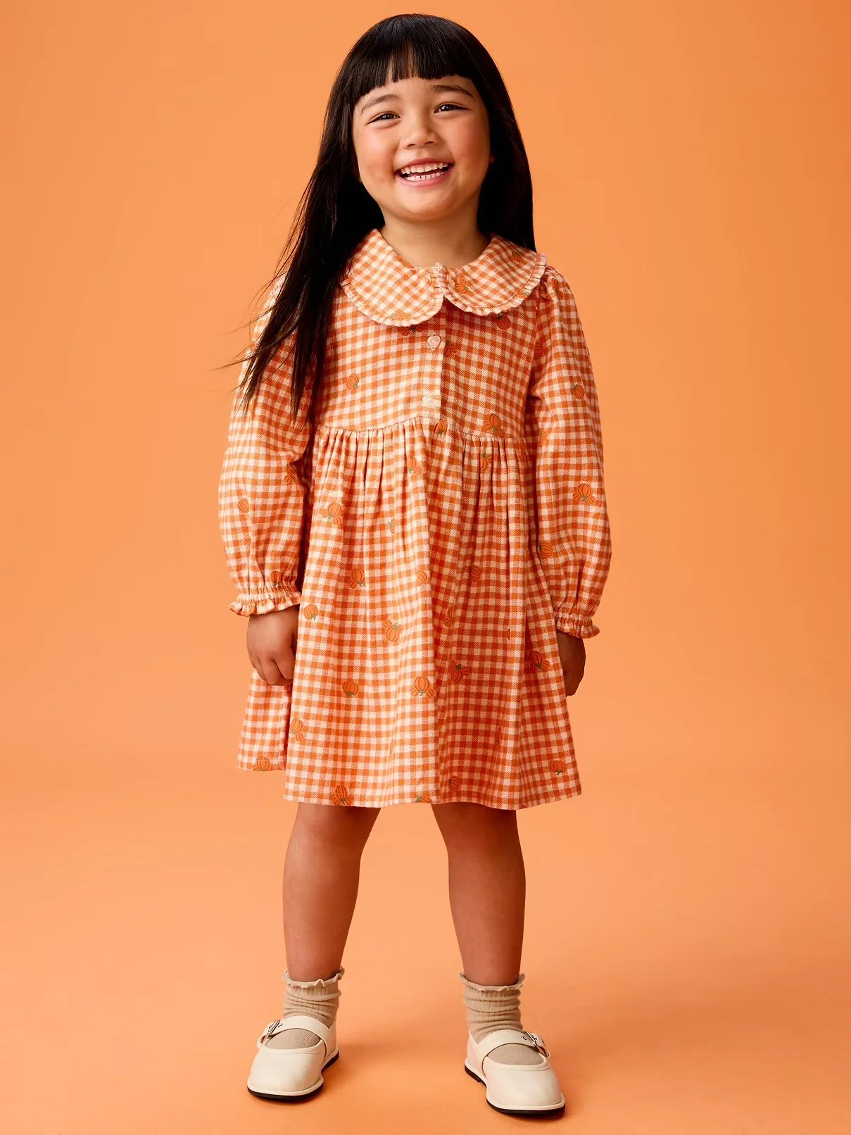 Toddler Mickey Mouse Gingham Dress