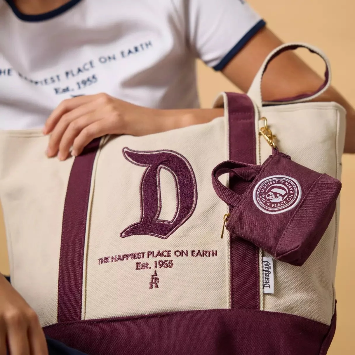 Disneyland Canvas Micro Tote Bag Charm
