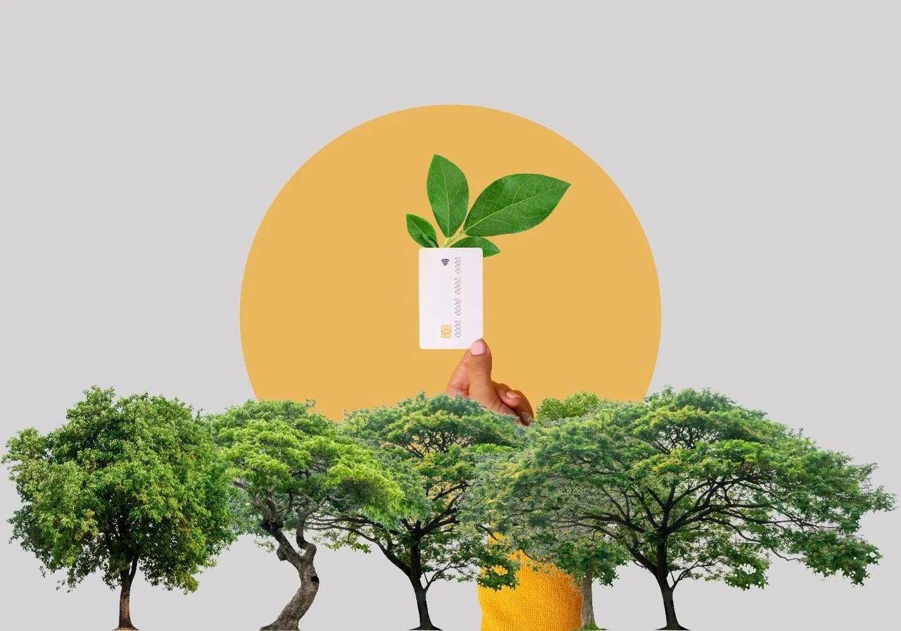 Reimagining Sustainable Materials for Payment Cards