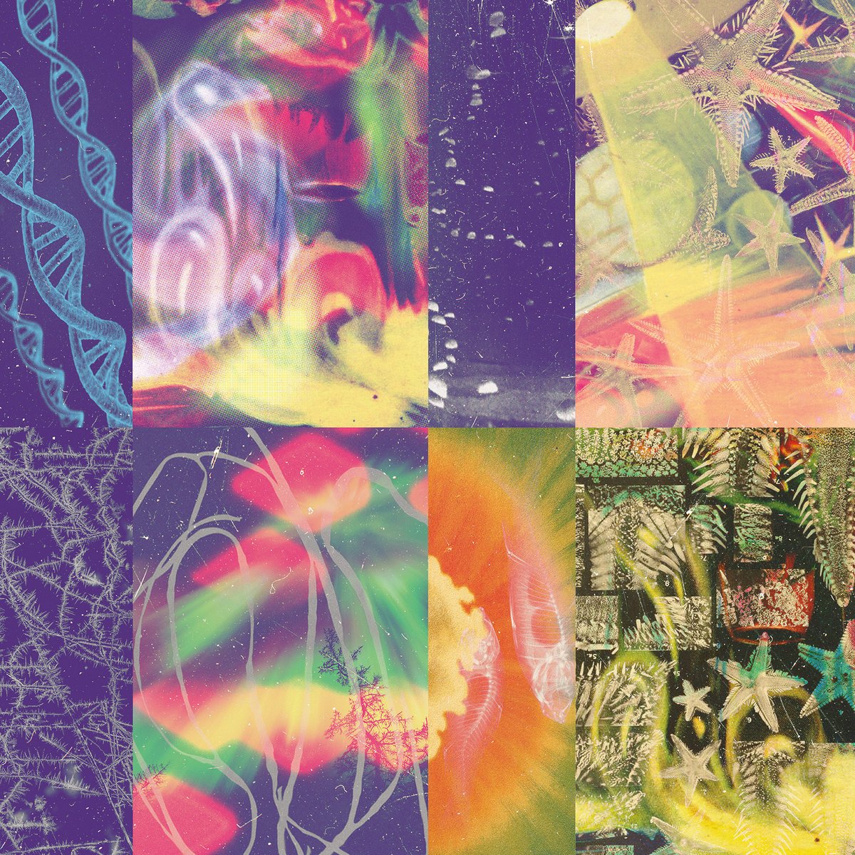 Nap Eyes :: “The Neon Gate” - Paradise Of Bachelors