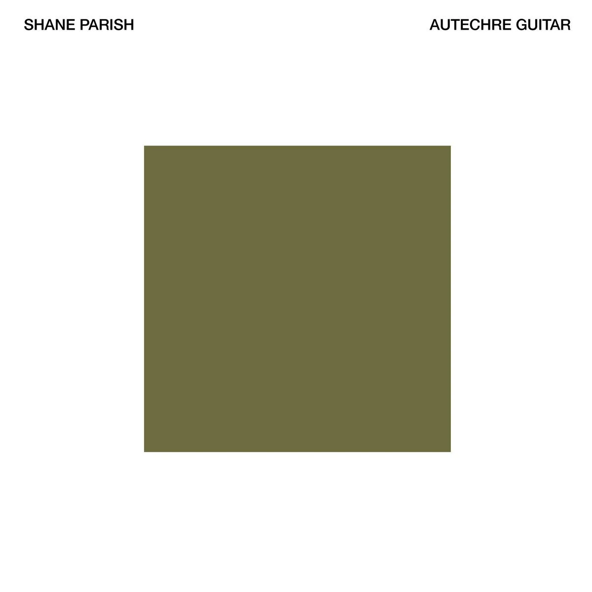 Shane Parish :: Autechre Guitar
