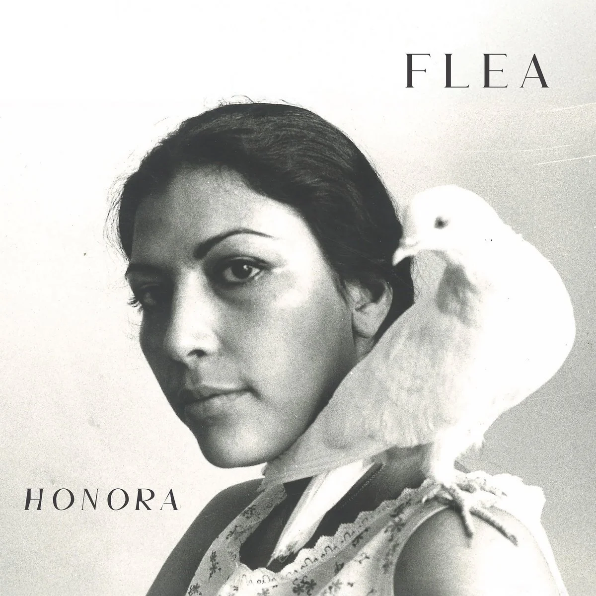 Flea :: Honora