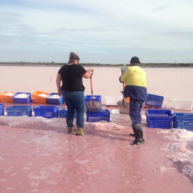 Fiona Johnston harvesting pink salt