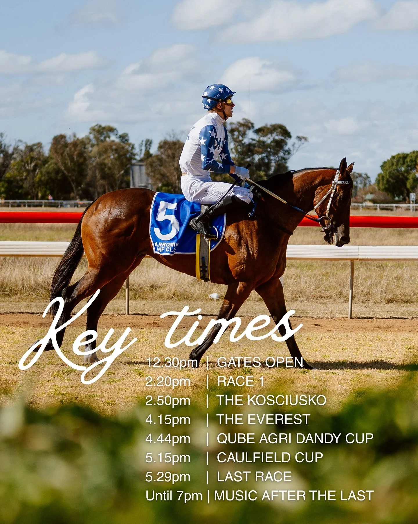 Qube Agri Narromine Dandy Cup Ladies Day — This Saturday!
Get ready for a great day of country racing at Narromine Turf Club! Gates open from 12.30pm with a full afternoon of racing action including The Kosciuszko, TAB Everest, Caulfield Cup o