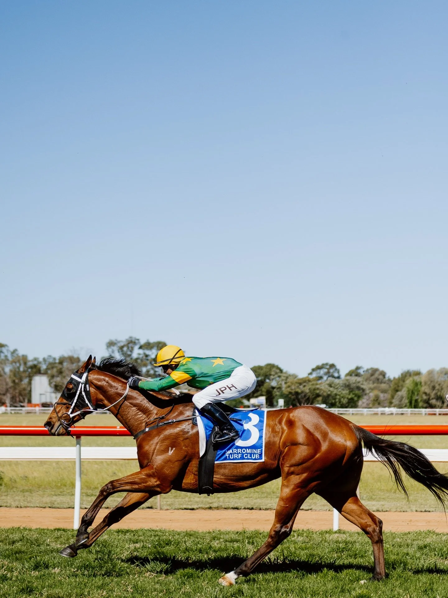 Racing today for the Alan Lloyd Memorial

7 race program | Gates open 1pm | First Race 2.10pm | Last race at 5.50pm

Plenty of time to knock off work and join us trackside as we close out our 2025 racing season!
