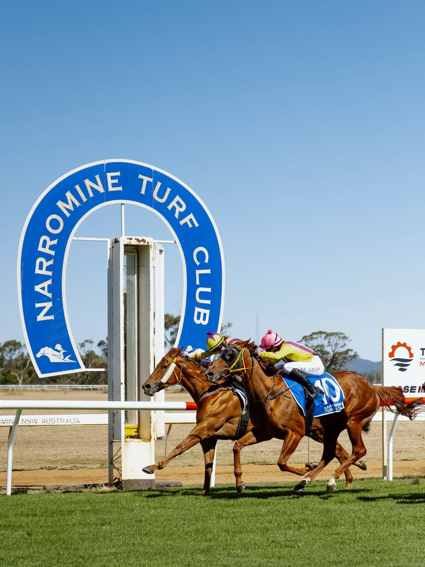 Laisvas, trained by Dubbo trainer Connie Grieg, won today&rsquo;s Alan Lloyd Memorial 1600m Benchmark 58 Handicap at Narromine.

Stable mate Mrs Bull finished second, beaten by a whisker in a very close finish.

A strong result for the stable and a g