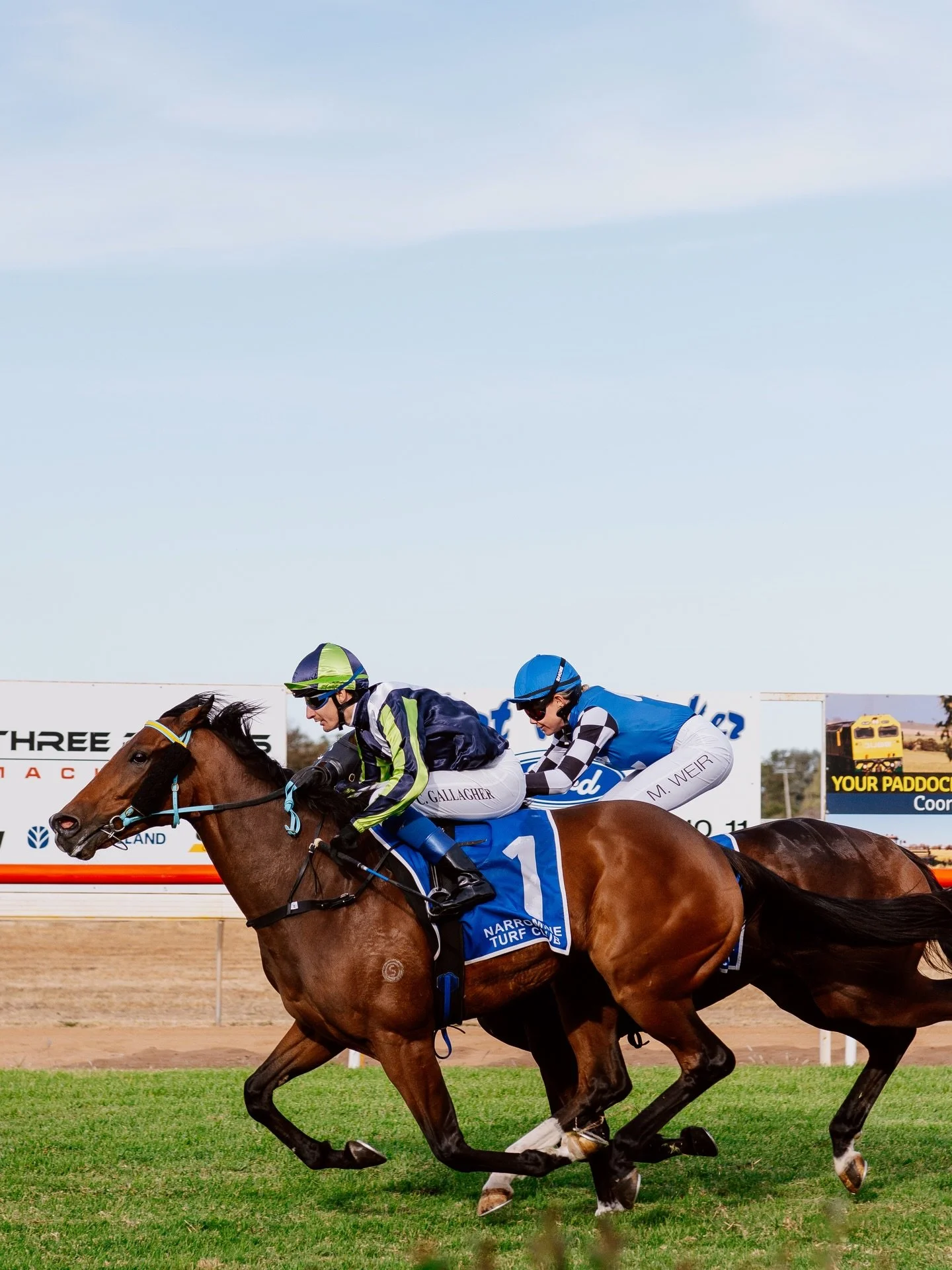 Micro Mikki wins the 2026 Narromine USMC Diggers Cup

Fresh off a strong Country Championships run, the Brett Robb-trained gelding proved too classy holding off a strong field to score in the 1300m feature.

With Clayton Gallagher aboard, the short-p