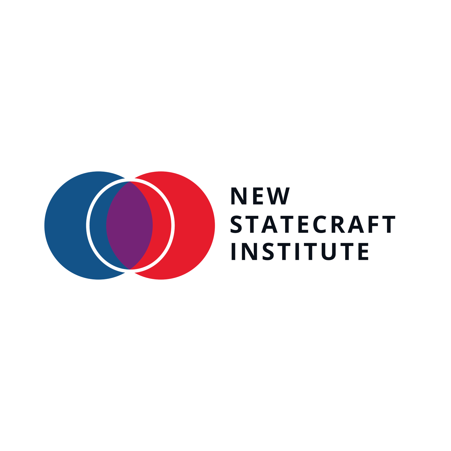 NEW STATECRAFT INSTITUTE