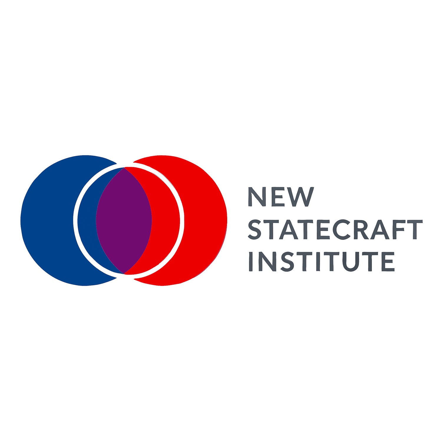 NEW STATECRAFT INSTITUTE