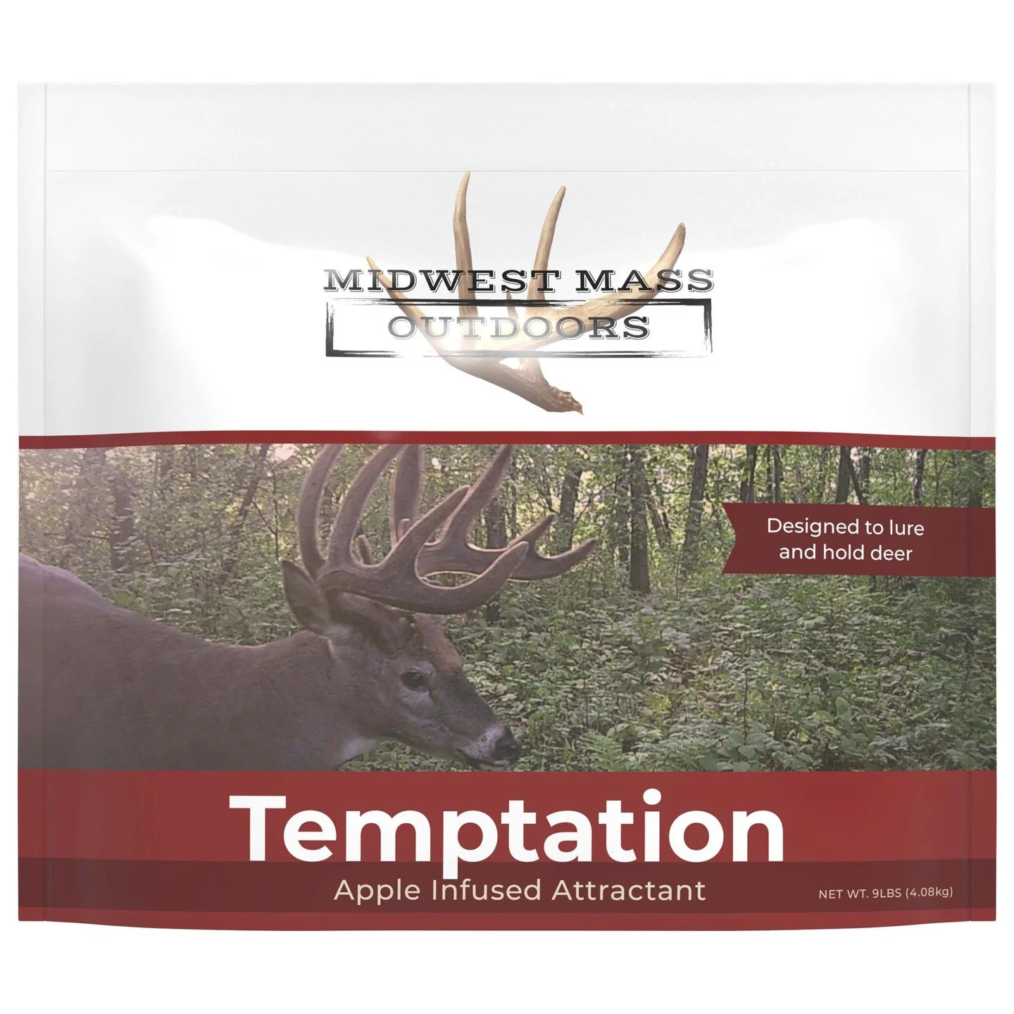 Temptation