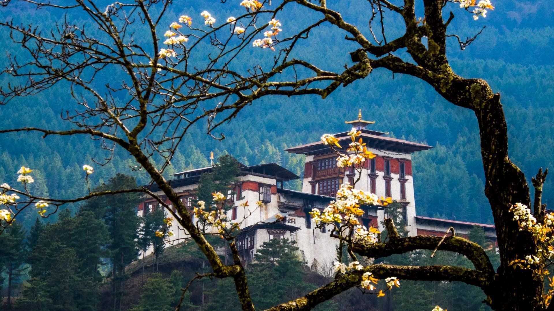 615653-1920x1080-desktop-1080p-bhutan-background.jpg