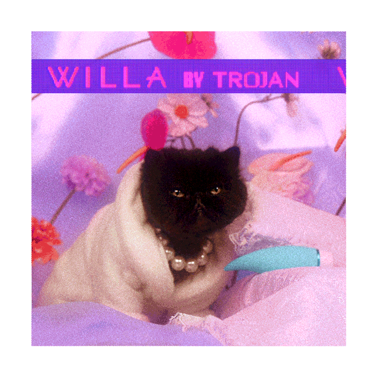 Willa by Trojan