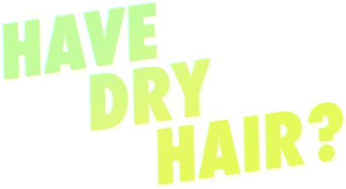 Have_DRY_HAIR.gif