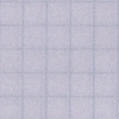 graph_paper_tile.jpg