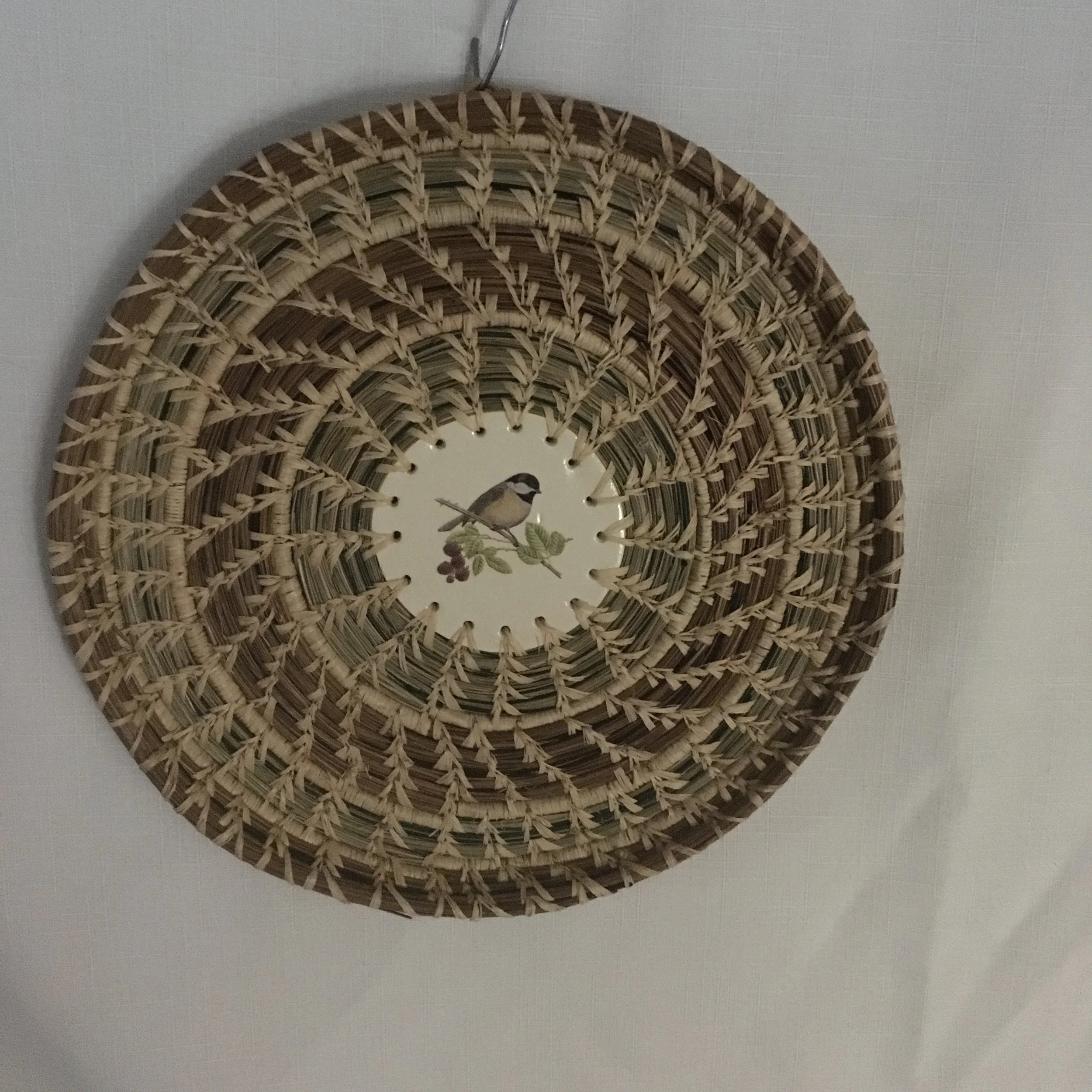 Large Flat Chickadee