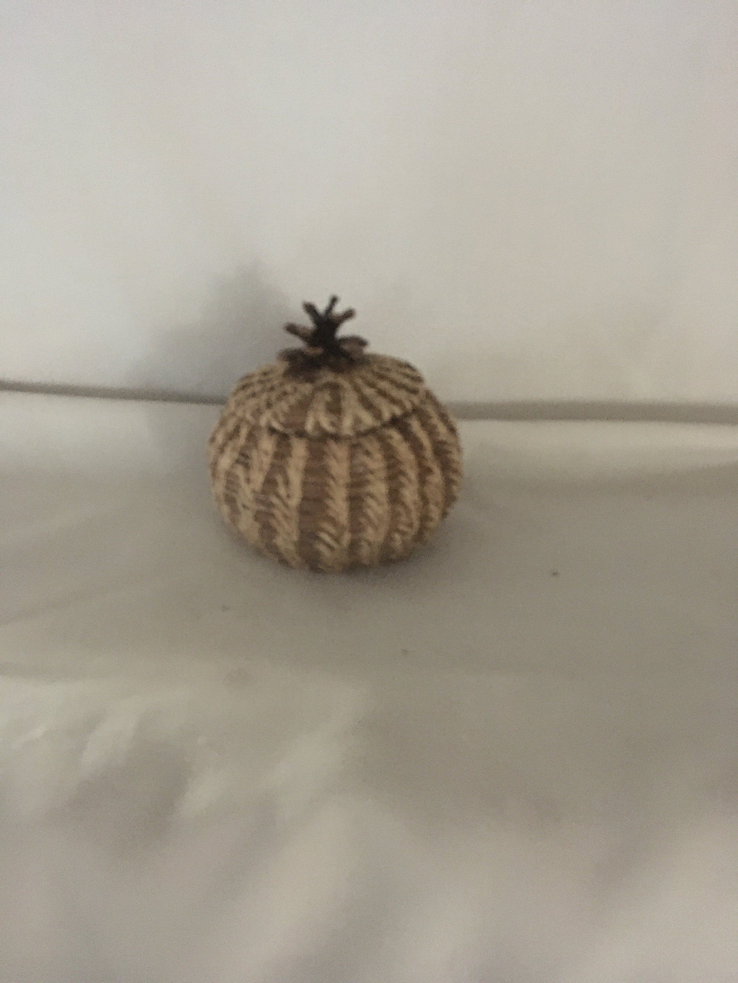 Pine Cone Lid with Natural Start
