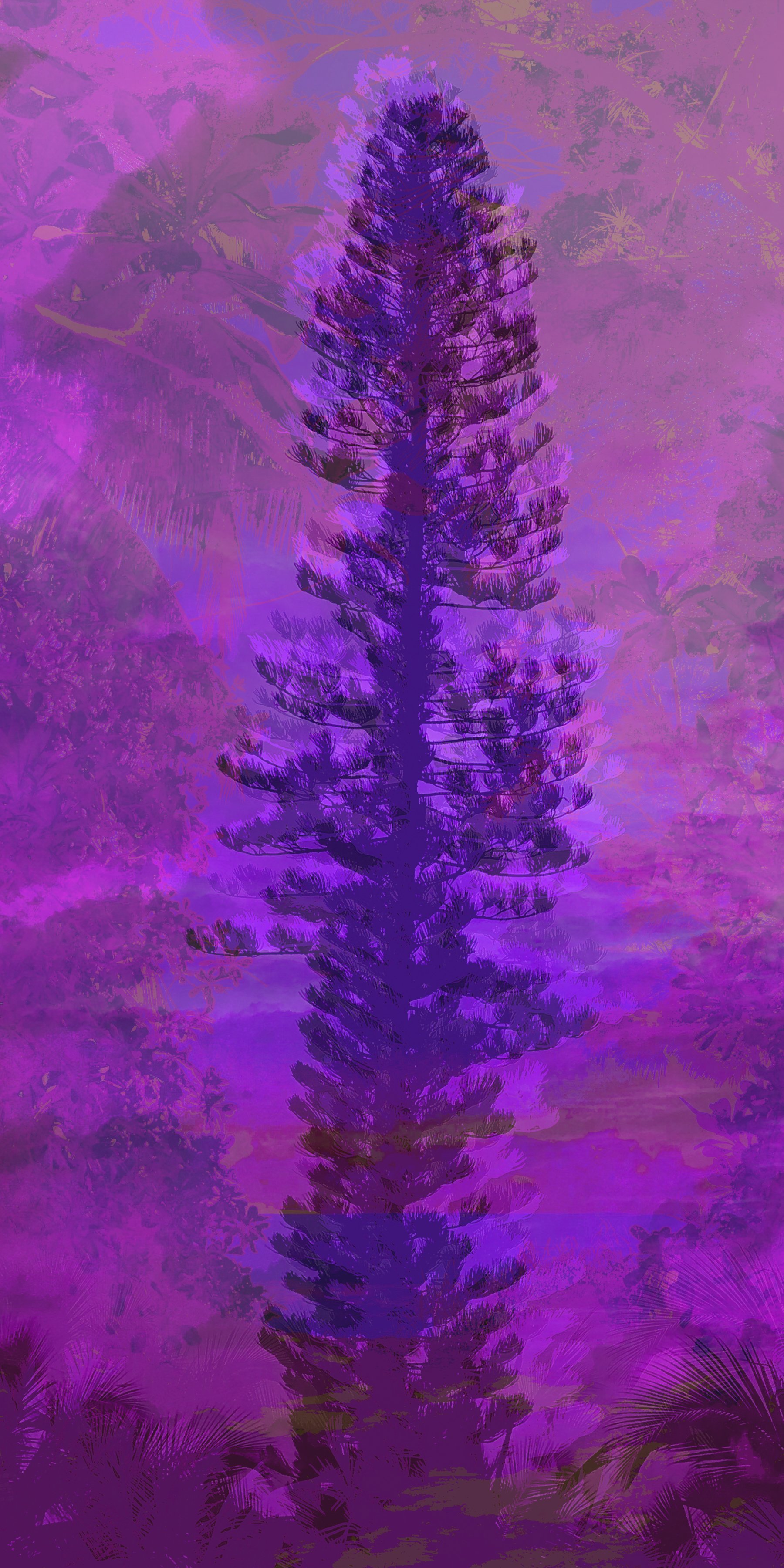 CHAKRA-7.jpg