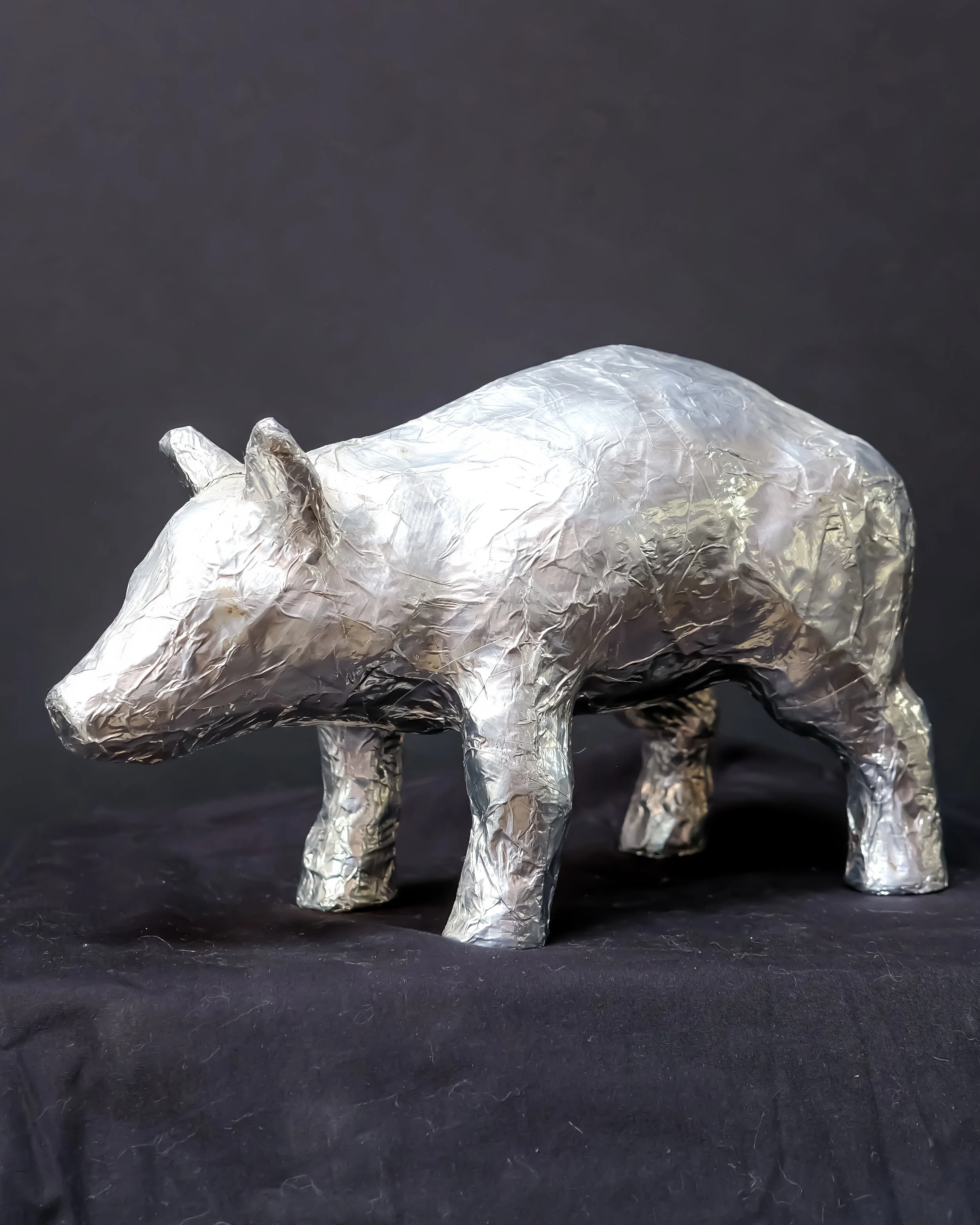 Glazer_Pig_1957.jpg