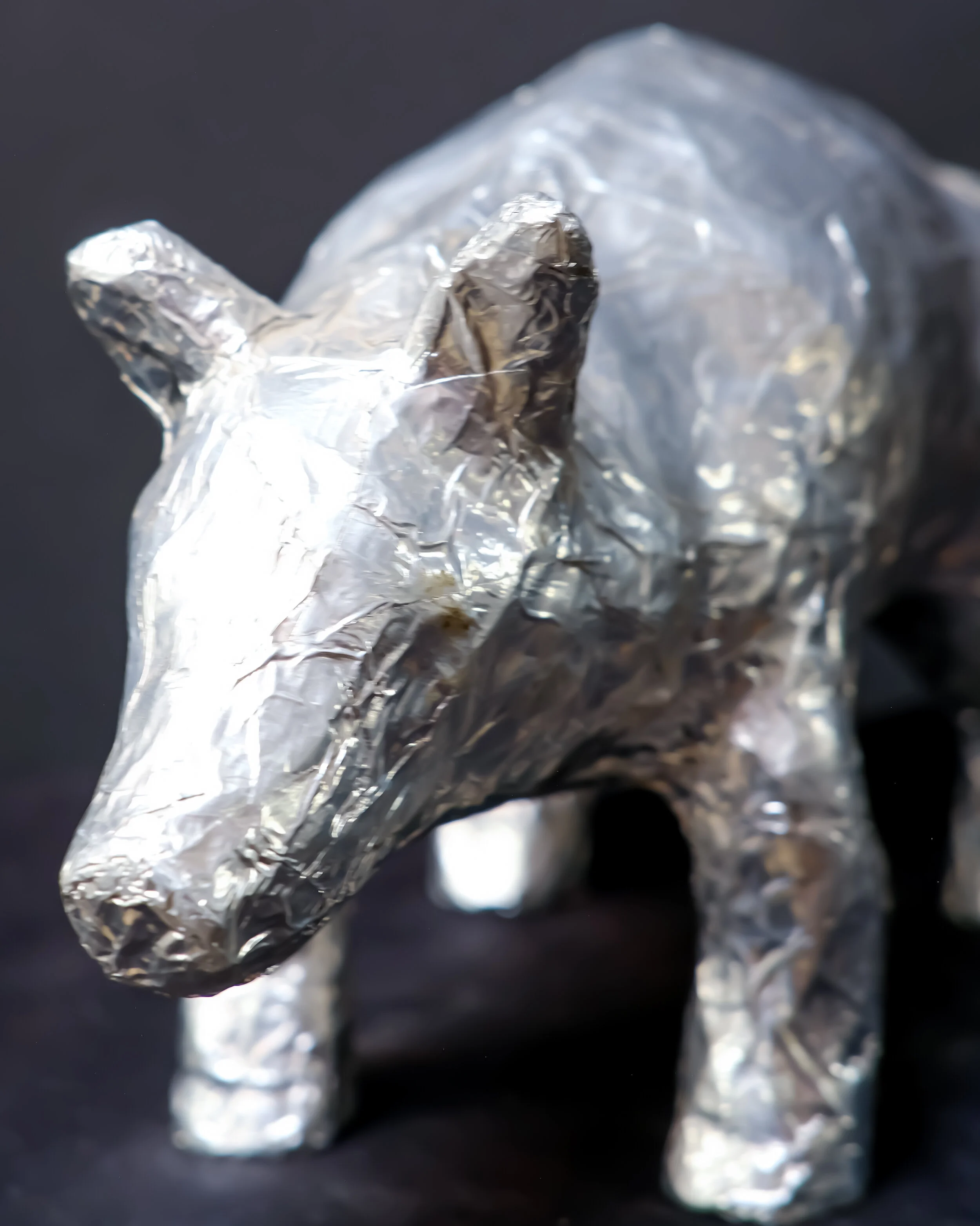 Glazer_Pig_1957-3.jpg