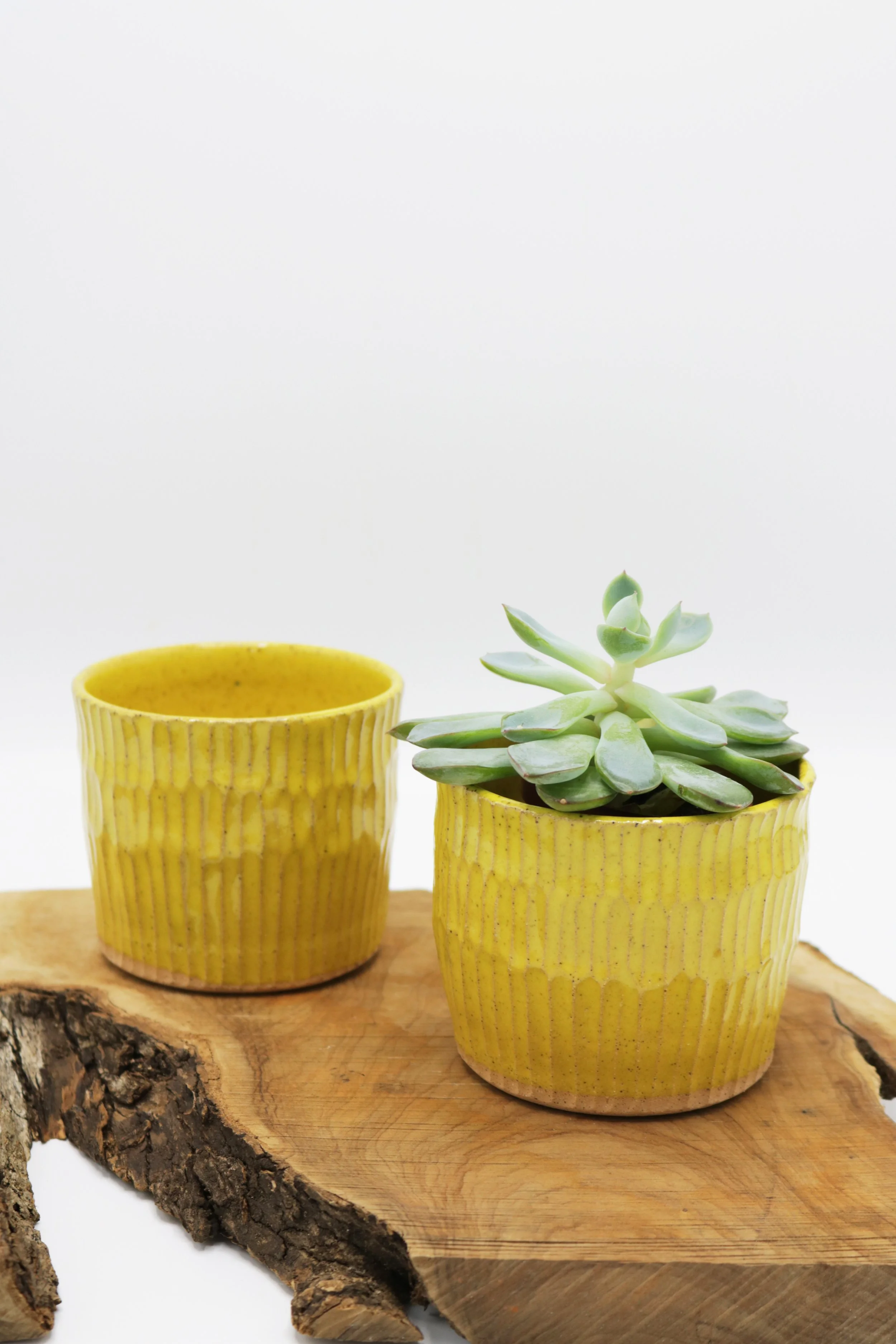 CarvedPlanter-Yellow_SM_7997.JPG
