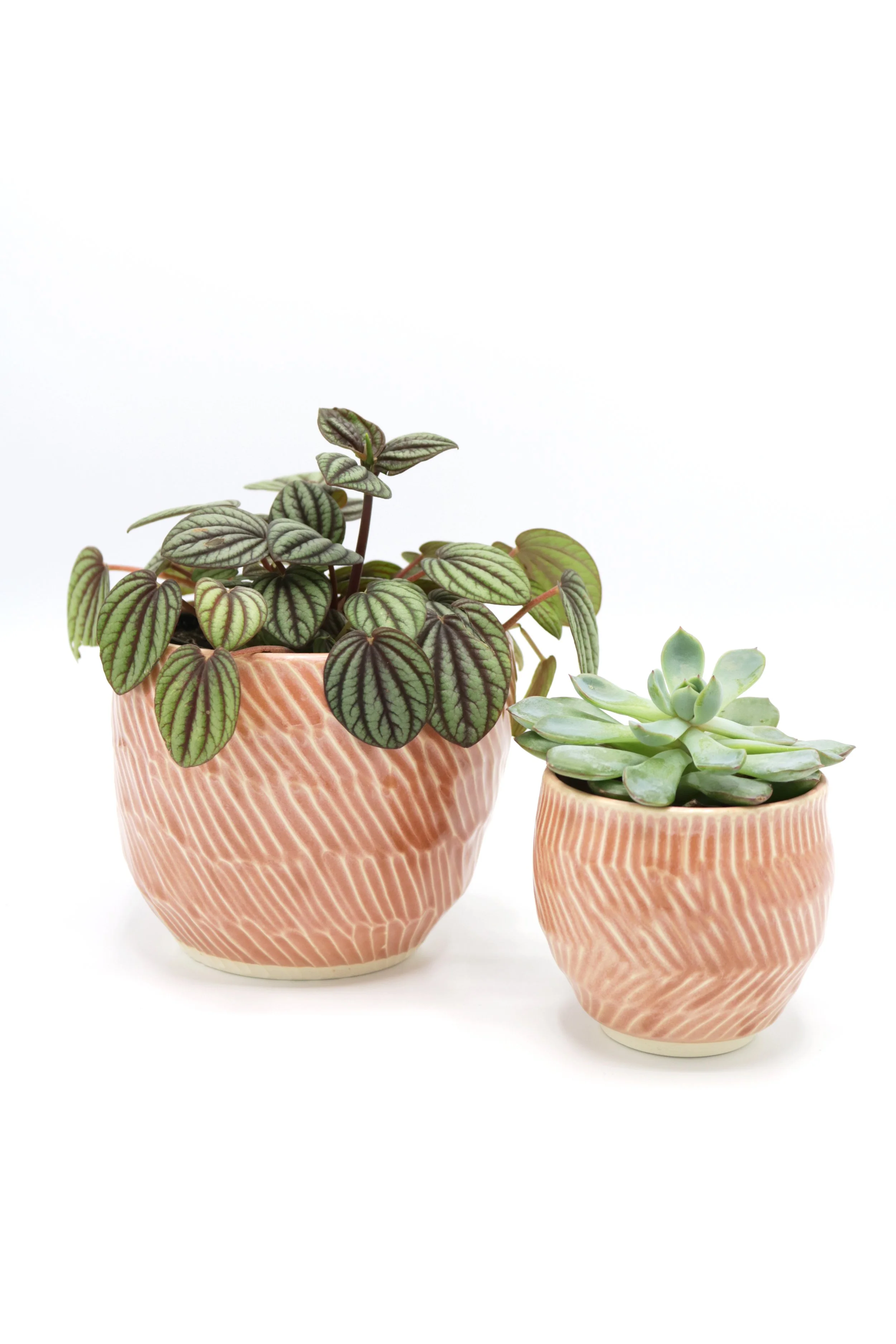 Carved_Planter-Pink_Hero_7933.jpg