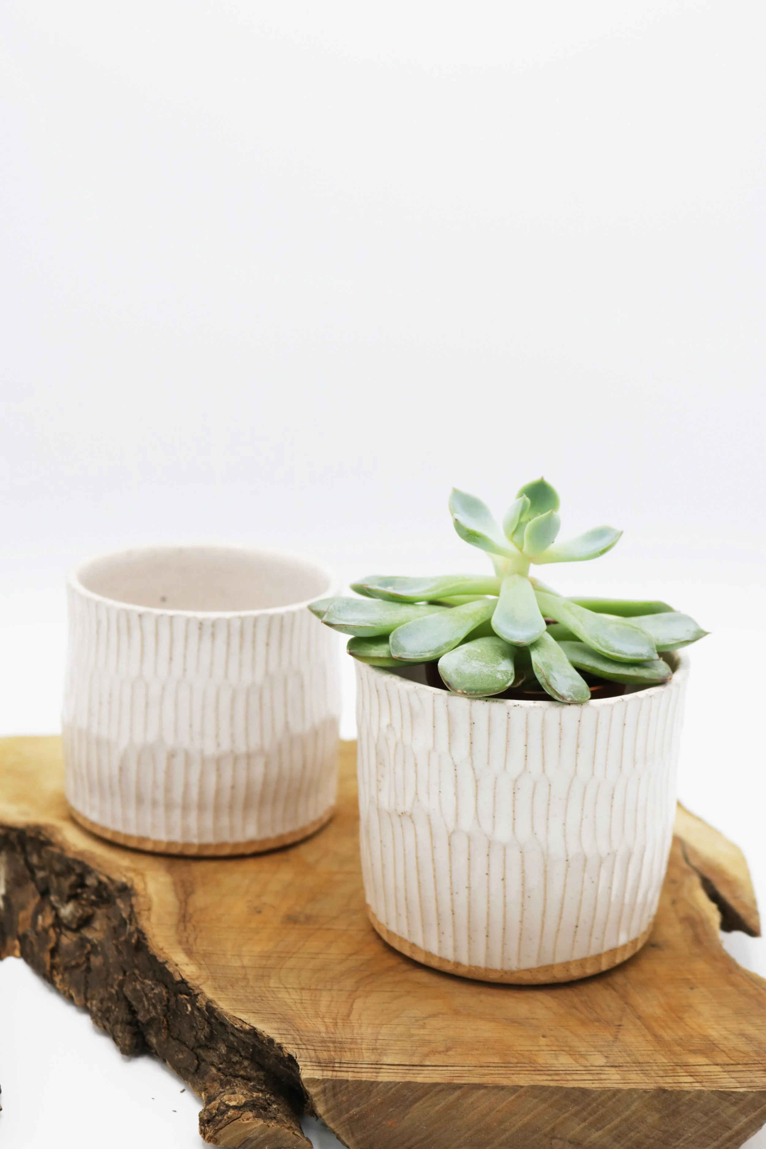 CarvedPlanter-White_SM_7987.JPG
