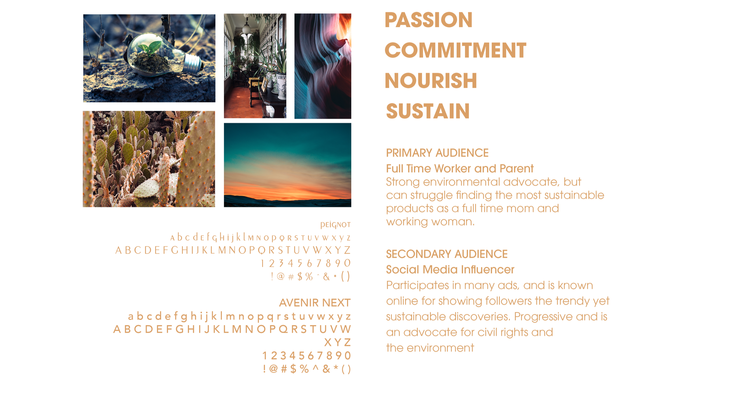 CaseStudy16.png