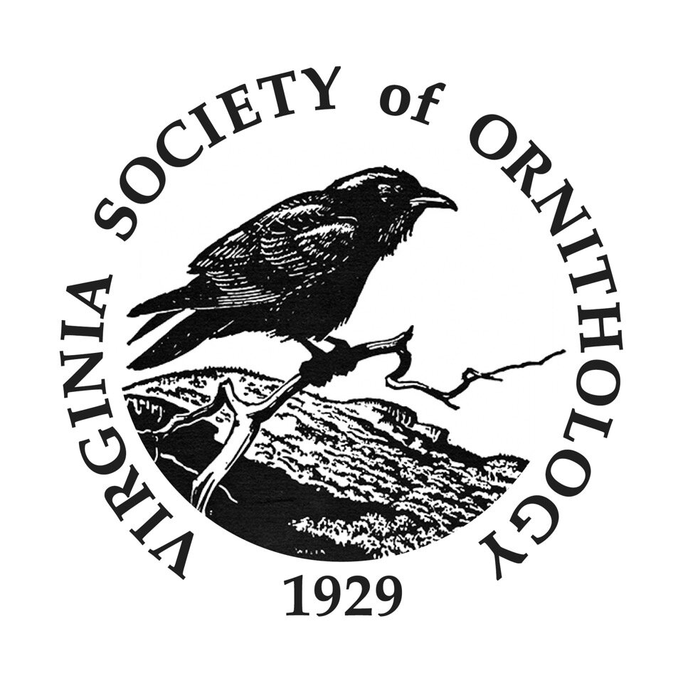 Virginia Society of Ornithology Offers $4,500 in Youth Engagement Grants